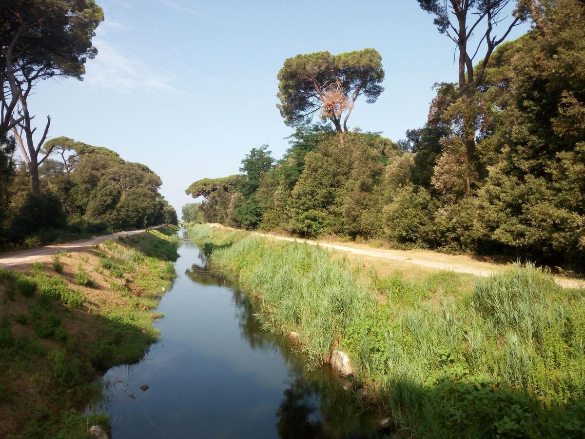 Campeggio Boscoverde Torre del Lago Puccini Bagian luar foto